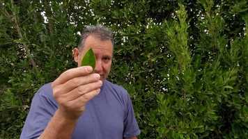 Free download Survival Techniques by Ron Howard video and edit with RedcoolMedia movie maker MovieStudio video editor online and AudioStudio audio editor onlin