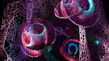 Free download Susan Kosti showreel 2019 video and edit with RedcoolMedia movie maker MovieStudio video editor online and AudioStudio audio editor onlin