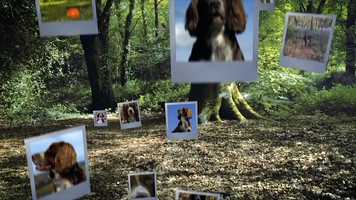 Free download Sussex Videographer Motion Graphics Showreel video and edit with RedcoolMedia movie maker MovieStudio video editor online and AudioStudio audio editor onlin