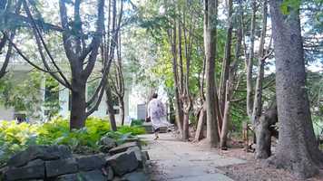 Free download Swallowtail video and edit with RedcoolMedia movie maker MovieStudio video editor online and AudioStudio audio editor onlin