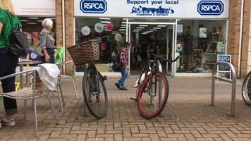 Free download Swan Song video and edit with RedcoolMedia movie maker MovieStudio video editor online and AudioStudio audio editor onlin