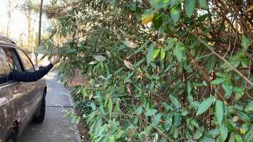 Free download Swede film example video and edit with RedcoolMedia movie maker MovieStudio video editor online and AudioStudio audio editor onlin