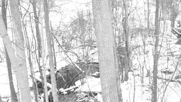 Free download Sweet Destination - A Music Video video and edit with RedcoolMedia movie maker MovieStudio video editor online and AudioStudio audio editor onlin