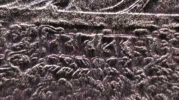 Free download SWISS MUSIC PRIZE | Zoé, New version, Draft#1 video and edit with RedcoolMedia movie maker MovieStudio video editor online and AudioStudio audio editor onlin