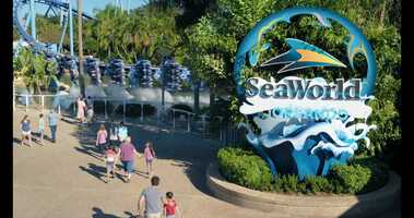 Free download SWO-Seaworld MusicOption2.mov video and edit with RedcoolMedia movie maker MovieStudio video editor online and AudioStudio audio editor onlin