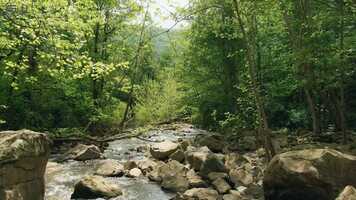 Free download SYLVIA no subtible no music video and edit with RedcoolMedia movie maker MovieStudio video editor online and AudioStudio audio editor onlin