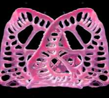 Free download Symmetrical Animation video and edit with RedcoolMedia movie maker MovieStudio video editor online and AudioStudio audio editor onlin