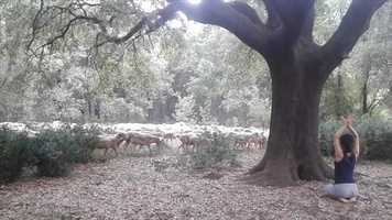 Free download Synchronicity - Catalonia 2019 video and edit with RedcoolMedia movie maker MovieStudio video editor online and AudioStudio audio editor onlin