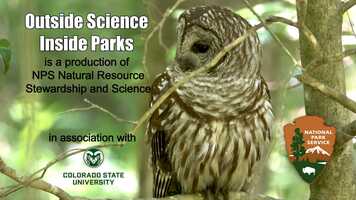 Free download Synchronous Fireflies - Outside Science Inside Parks video and edit with RedcoolMedia movie maker MovieStudio video editor online and AudioStudio audio editor onlin