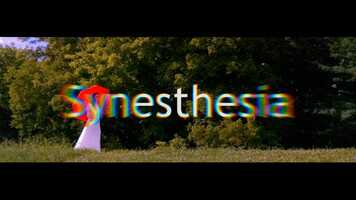 Free download Synesthesia video and edit with RedcoolMedia movie maker MovieStudio video editor online and AudioStudio audio editor onlin