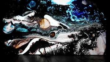 Free download Synethsie Teaser video and edit with RedcoolMedia movie maker MovieStudio video editor online and AudioStudio audio editor onlin