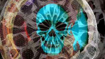 Free download Szopa Bones (Official Music Video) video and edit with RedcoolMedia movie maker MovieStudio video editor online and AudioStudio audio editor onlin