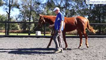 Free download Taghadoe SOOBOOG x SING ME A SONG video and edit with RedcoolMedia movie maker MovieStudio video editor online and AudioStudio audio editor onlin