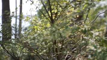 Free download Tai Chi at Cobalt Moon Silent Background Movie video and edit with RedcoolMedia movie maker MovieStudio video editor online and AudioStudio audio editor onlin