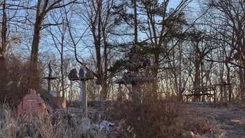 Free download Take a Walk. video and edit with RedcoolMedia movie maker MovieStudio video editor online and AudioStudio audio editor onlin