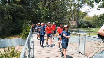 Free download Talk and Walk A Thon! video and edit with RedcoolMedia movie maker MovieStudio video editor online and AudioStudio audio editor onlin