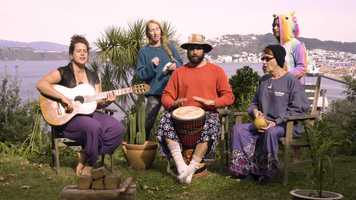 Free download Tall trees, warm fire video and edit with RedcoolMedia movie maker MovieStudio video editor online and AudioStudio audio editor onlin