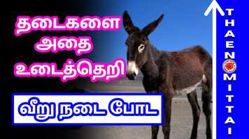 Free download Tamil Motivational Stories | தடை அதை உடை | விடாமுயற்சியை விட்டுவிடாதீர்கள்! | ThaenMittai Stories video and edit with RedcoolMedia movie maker MovieStudio video editor online and AudioStudio audio editor onlin
