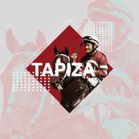 Free download Tapizar - Social Media Animation video and edit with RedcoolMedia movie maker MovieStudio video editor online and AudioStudio audio editor onlin