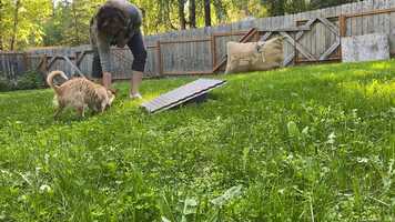 Free download Target board fun video and edit with RedcoolMedia movie maker MovieStudio video editor online and AudioStudio audio editor onlin