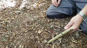 Free download Tarps film video and edit with RedcoolMedia movie maker MovieStudio video editor online and AudioStudio audio editor onlin