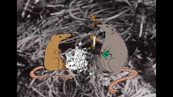 Free download Taste of Abject video and edit with RedcoolMedia movie maker MovieStudio video editor online and AudioStudio audio editor onlin