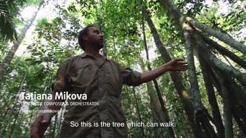 Free download Tatiana Mikova - Trabant Goes to The End of The World, Amazon Jungle video and edit with RedcoolMedia movie maker MovieStudio video editor online and AudioStudio audio editor onlin