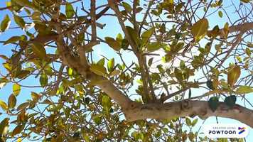 Free download Tcnicas de respiracin v2 video and edit with RedcoolMedia movie maker MovieStudio video editor online and AudioStudio audio editor onlin