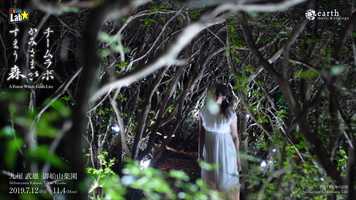 Free download teamLab: A Forest Where Gods Live - earth musicecology / video and edit with RedcoolMedia movie maker MovieStudio video editor online and AudioStudio audio editor onlin