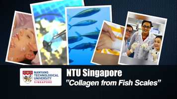 Free download Tech and Goodness EPISODE 2 video and edit with RedcoolMedia movie maker MovieStudio video editor online and AudioStudio audio editor onlin