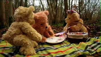 Free download TEDDY TALES video and edit with RedcoolMedia movie maker MovieStudio video editor online and AudioStudio audio editor onlin