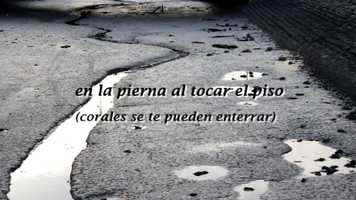 Free download Tejidos de medusa (intro) / Lyric video video and edit with RedcoolMedia movie maker MovieStudio video editor online and AudioStudio audio editor onlin