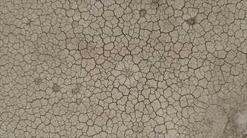 Free download Temecula, CA B-Epic Network Elev8 Avid Digestive Microbiome | Opening: ME LA KY KS IA IN IL | video and edit with RedcoolMedia movie maker MovieStudio video editor online and AudioStudio audio editor onlin