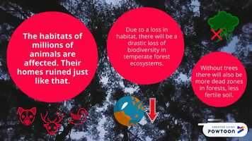 Free download Temperate Forests video and edit with RedcoolMedia movie maker MovieStudio video editor online and AudioStudio audio editor onlin