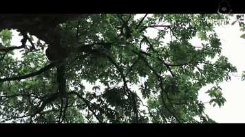 Free download Tengrik M SangmaNangko Grongchengon Prod:Russull Sangma(Offiicial Music Video) video and edit with RedcoolMedia movie maker MovieStudio video editor online and AudioStudio audio editor onlin