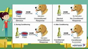 Free download Terapia cognitivo conductual video and edit with RedcoolMedia movie maker MovieStudio video editor online and AudioStudio audio editor onlin