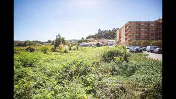 Free download Terreno Carvalhos video and edit with RedcoolMedia movie maker MovieStudio video editor online and AudioStudio audio editor onlin