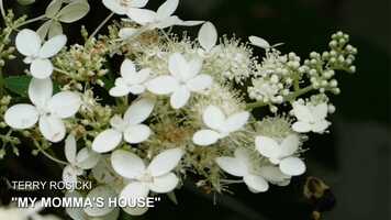 Free download Terry Rosicki - My Mommas House (Official Video) video and edit with RedcoolMedia movie maker MovieStudio video editor online and AudioStudio audio editor onlin