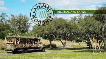 Free download teste-animal-safari video and edit with RedcoolMedia movie maker MovieStudio video editor online and AudioStudio audio editor onlin