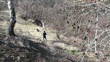 Free download Test technique avril 2020 video and edit with RedcoolMedia movie maker MovieStudio video editor online and AudioStudio audio editor onlin