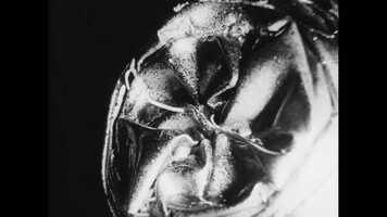 Free download Tetsuo-The Iron Man (Trailer) video and edit with RedcoolMedia movie maker MovieStudio video editor online and AudioStudio audio editor onlin