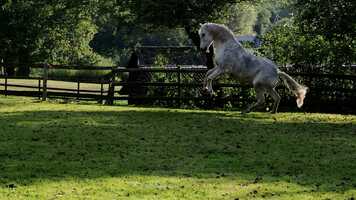 Free download Tetu October 2021 video and edit with RedcoolMedia movie maker MovieStudio video editor online and AudioStudio audio editor onlin