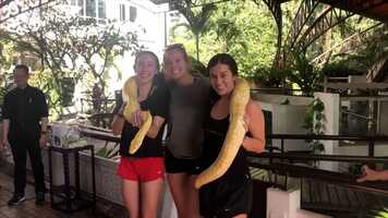 Free download Thailand Student Video video and edit with RedcoolMedia movie maker MovieStudio video editor online and AudioStudio audio editor onlin