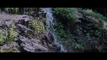 Free download Thailand: The Baby Elephant Experience with Discover Corps video and edit with RedcoolMedia movie maker MovieStudio video editor online and AudioStudio audio editor onlin