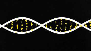 Free download Thank You For Coming Trailer video and edit with RedcoolMedia movie maker MovieStudio video editor online and AudioStudio audio editor onlin