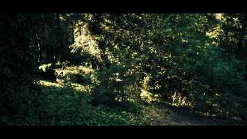 Free download The Acquittal Trailer.mp4 video and edit with RedcoolMedia movie maker MovieStudio video editor online and AudioStudio audio editor onlin