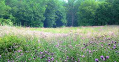 Free download The afterlife of a football field video and edit with RedcoolMedia movie maker MovieStudio video editor online and AudioStudio audio editor onlin