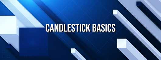 Free download The Anatomy of a Candlestick: Day Trading 101 video and edit with RedcoolMedia movie maker MovieStudio video editor online and AudioStudio audio editor onlin