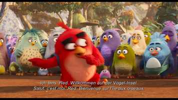 Free download THE ANGRY BIRDS MOVIE 2 / Trailer B Edf / In cinemas soon video and edit with RedcoolMedia movie maker MovieStudio video editor online and AudioStudio audio editor onlin