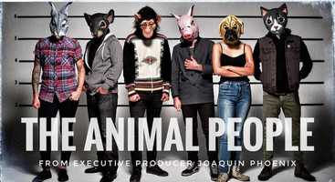 Free download the animal people video and edit with RedcoolMedia movie maker MovieStudio video editor online and AudioStudio audio editor onlin